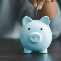 Predicting Individual Savings